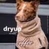 Dryup cape Coffee