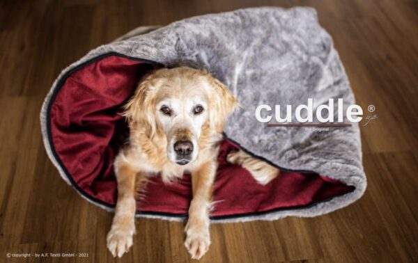 Cuddle up