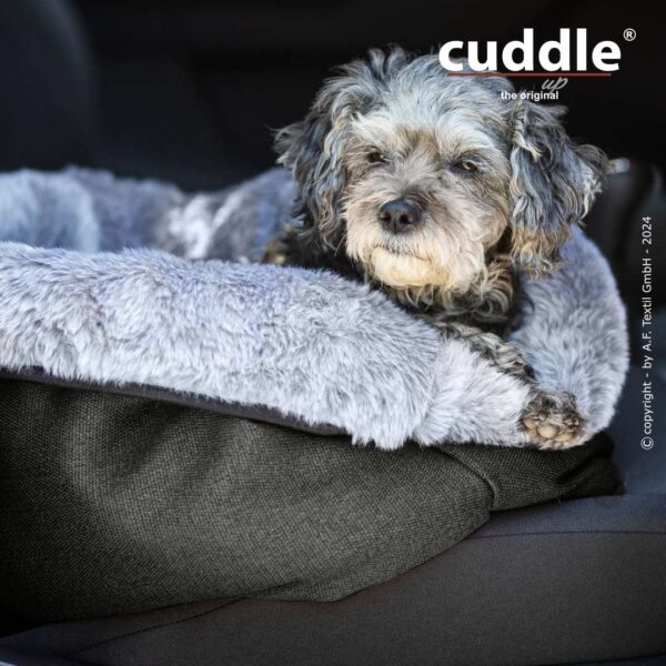 Cuddle up