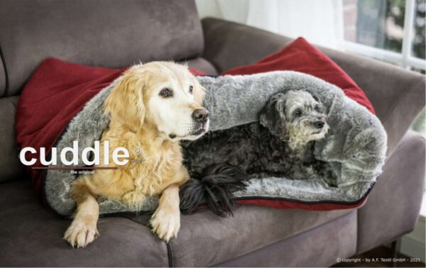 Cuddle up together