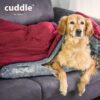 Cuddle up